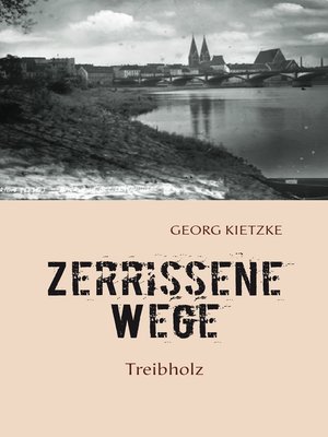 cover image of Zerrissene Wege